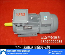 咸寧電機(jī) 中起騰升機(jī)電設(shè)備 單相起重電機(jī)