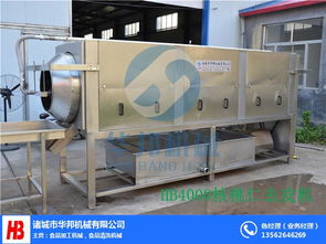 核桃仁去皮機(jī)廠 優(yōu)質(zhì)華邦機(jī)械 小型核桃仁去皮機(jī)廠